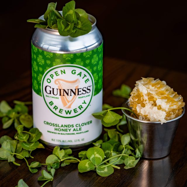 Where to Celebrate St. Patrick's Day